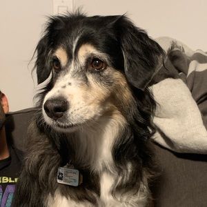 Meet your Posher, Dominique